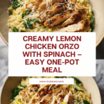 Lemon Chicken Orzo Recipe