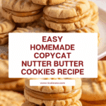 Homemade Copycat Nutter Butters Recipe
