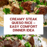 Steak Queso Rice Recipe