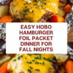 Hobo Hamburger Foil Packet Dinner Recipe