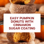Easy Pumpkin Donut Recipe