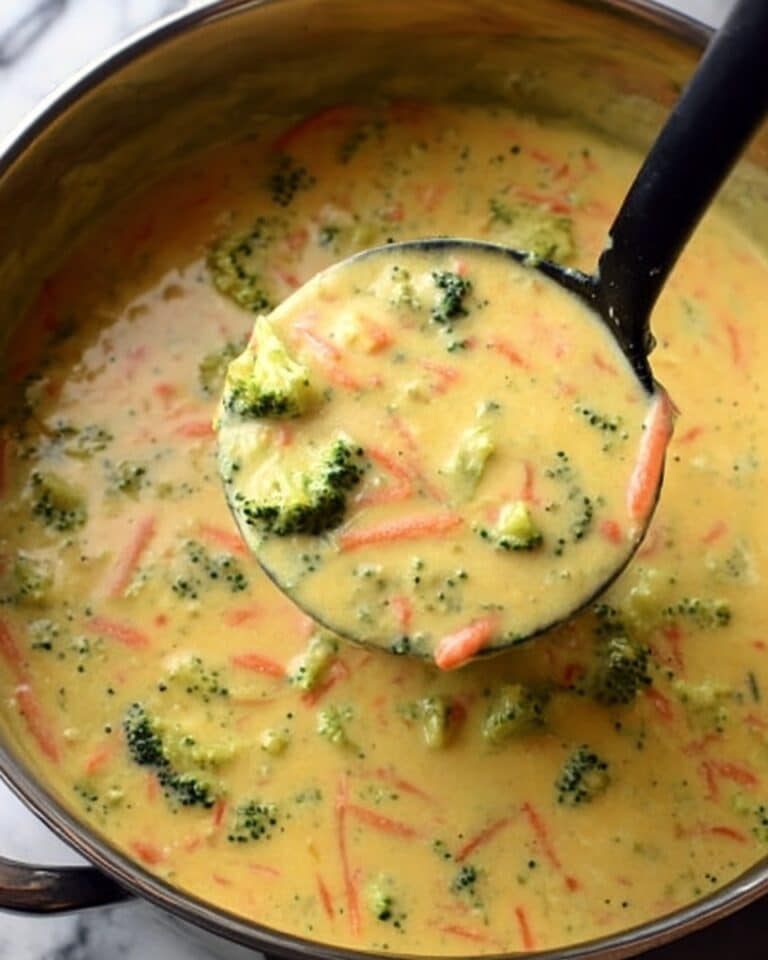 Copycat Panera Broccoli Cheese Soup Recipe