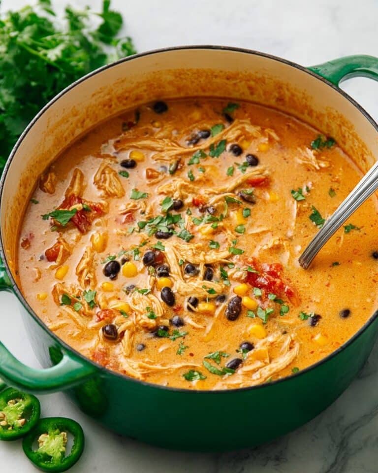 Creamy Chicken Enchilada Soup Recipe