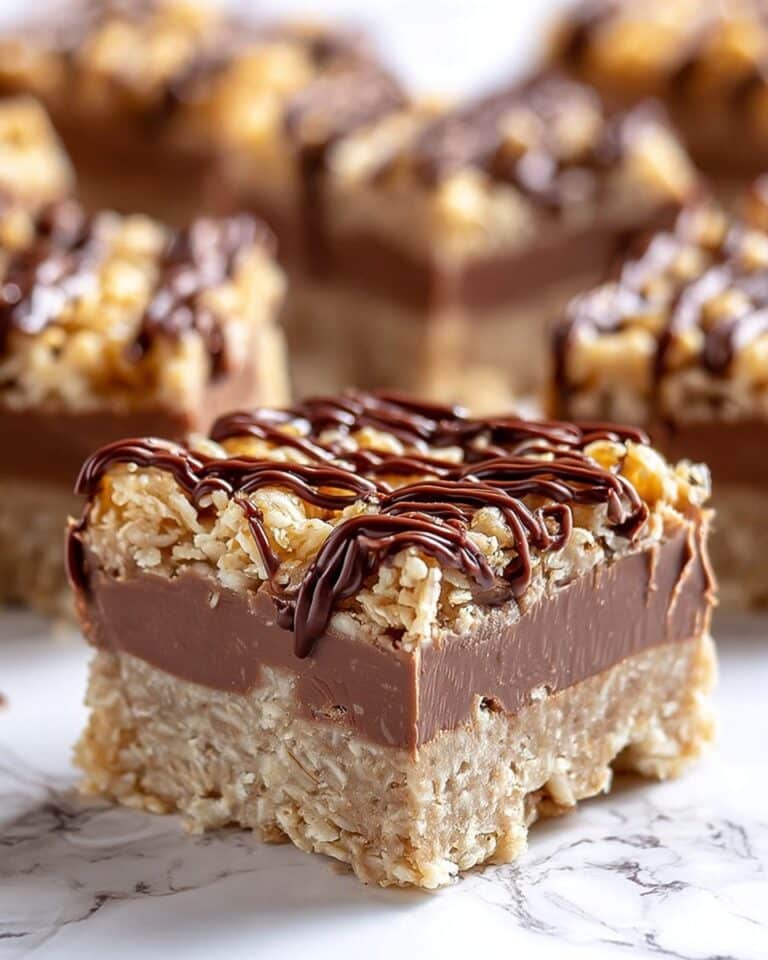No Bake Chocolate Oatmeal Bars Recipe